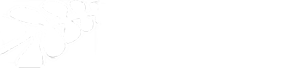 LaPalme Partners